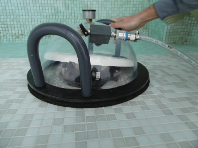 Kit Colorante Per Rilevamento Perdite Piscina - Escentile USA - 2 Applicatori Di Precisione